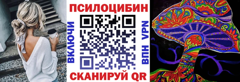 Галлюциногенные грибы Psilocybe  Салаир 